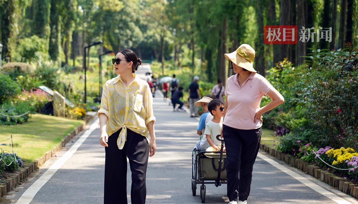 开户送礼金mg游戏
